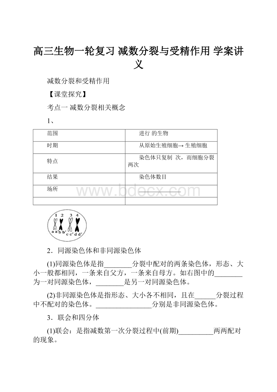 高三生物一轮复习 减数分裂与受精作用 学案讲义.docx_第1页