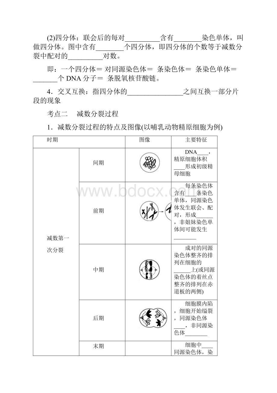 高三生物一轮复习 减数分裂与受精作用 学案讲义.docx_第2页