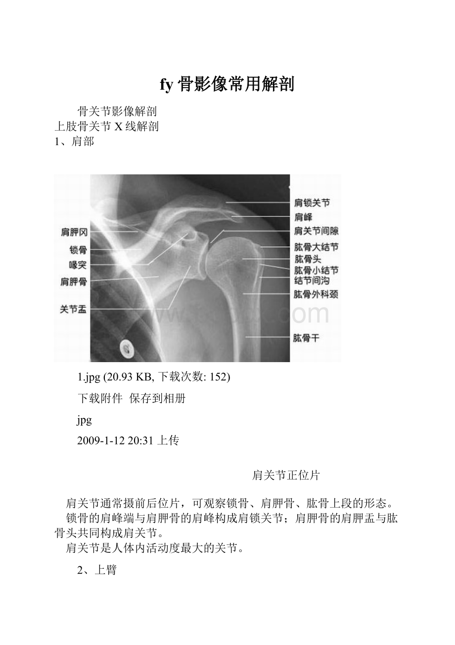 fy骨影像常用解剖.docx_第1页