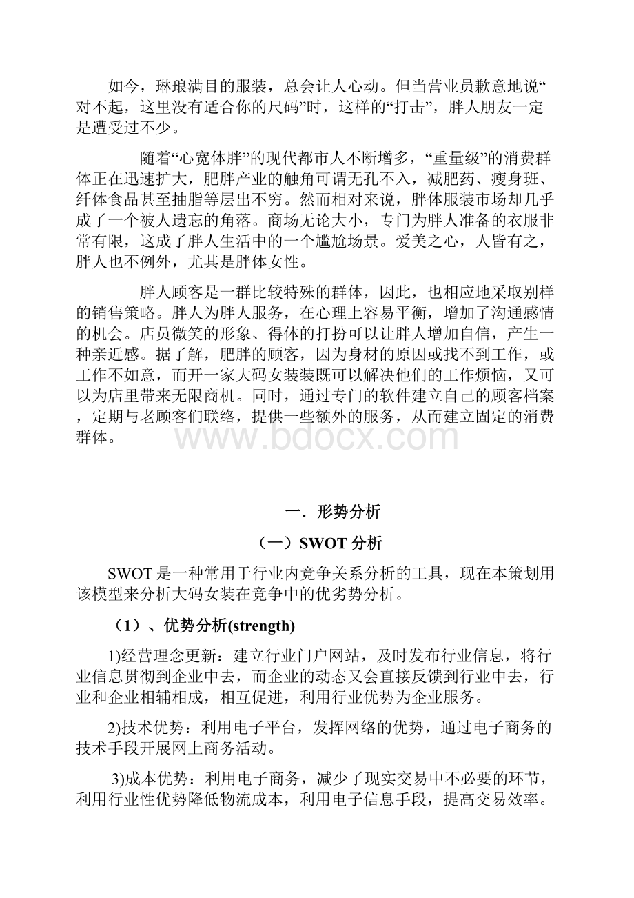 大码女装网络营销策划书.docx_第2页