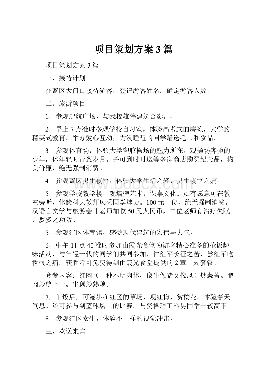 项目策划方案3篇.docx