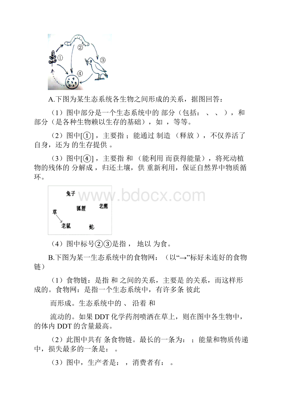 初中生物中考总复习重要知识点图表等人教版26881543.docx_第2页