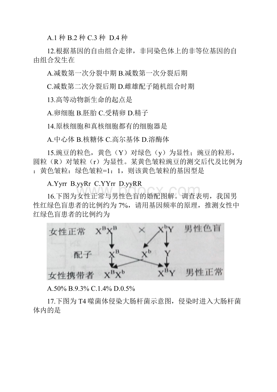 江苏省连云港市学年高一下学期期末考试生物试题含答案.docx_第3页