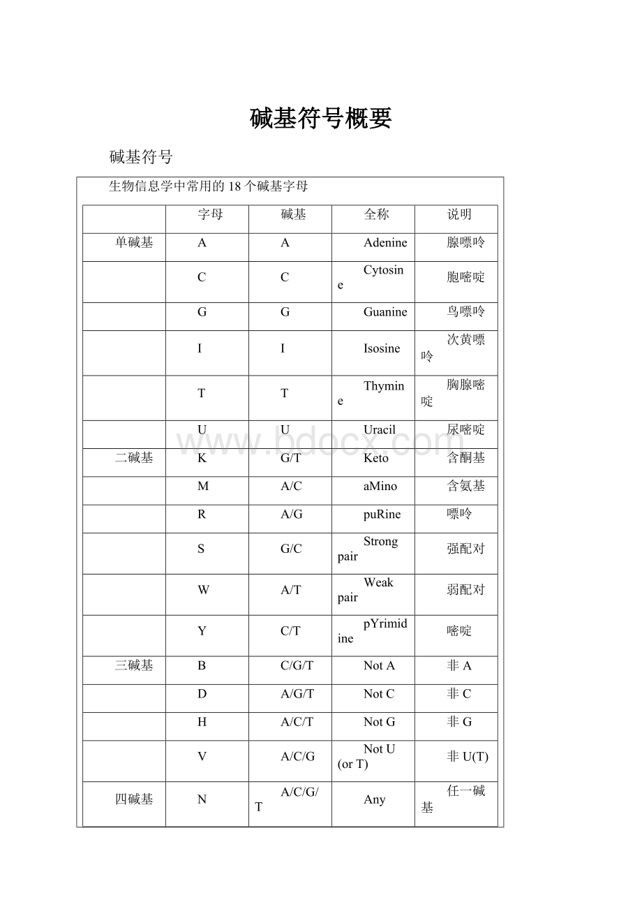 碱基符号概要.docx