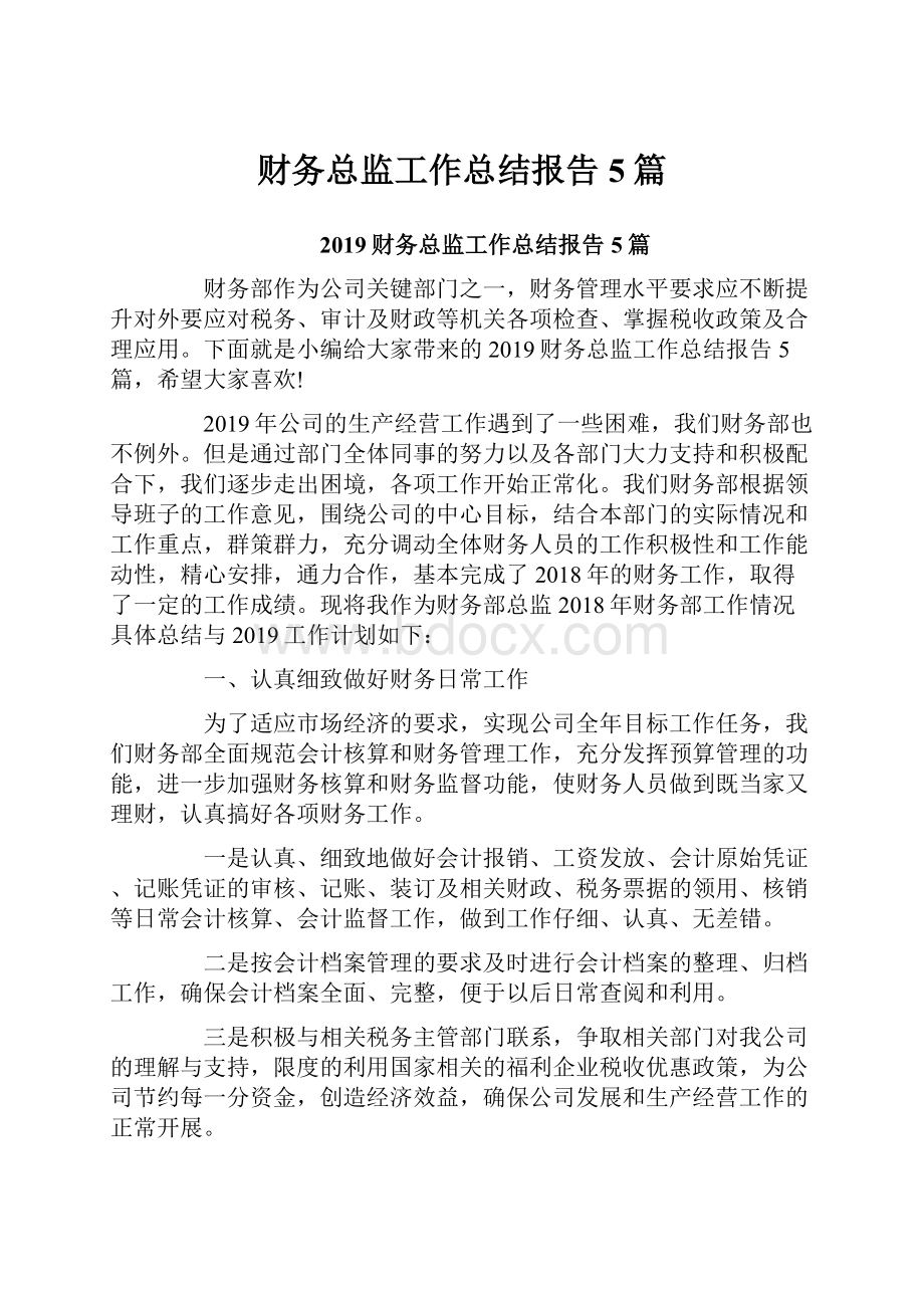 财务总监工作总结报告5篇.docx