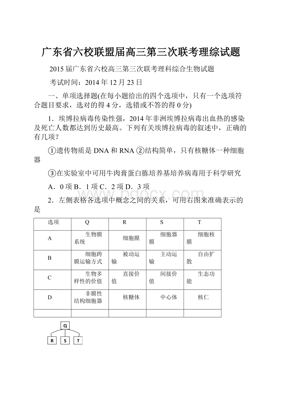 广东省六校联盟届高三第三次联考理综试题.docx