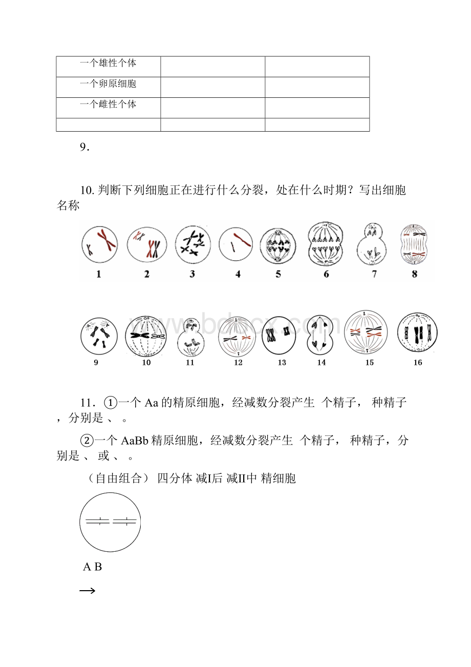 高考生物 第1部分 基础知识精准自测 第2章 基因和染色体的关系必修2.docx_第2页