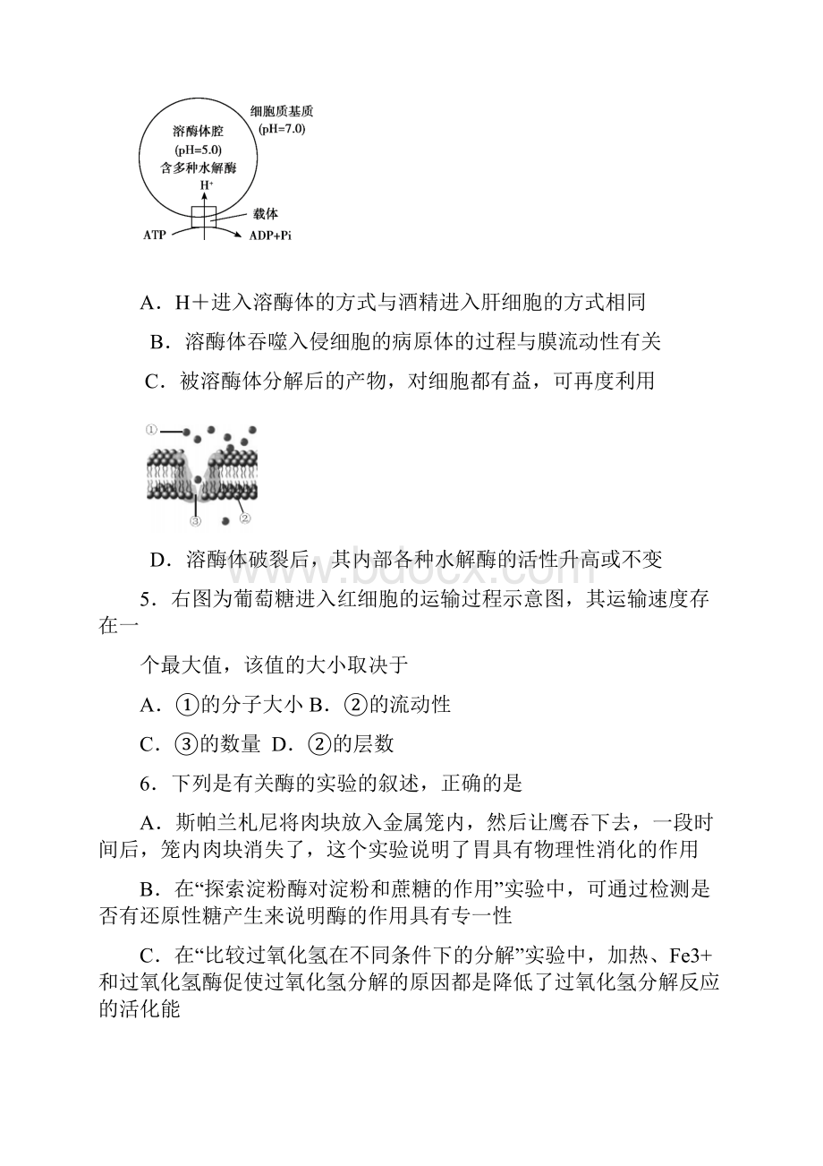 朝阳区高三生物期中试题及答案.docx_第2页