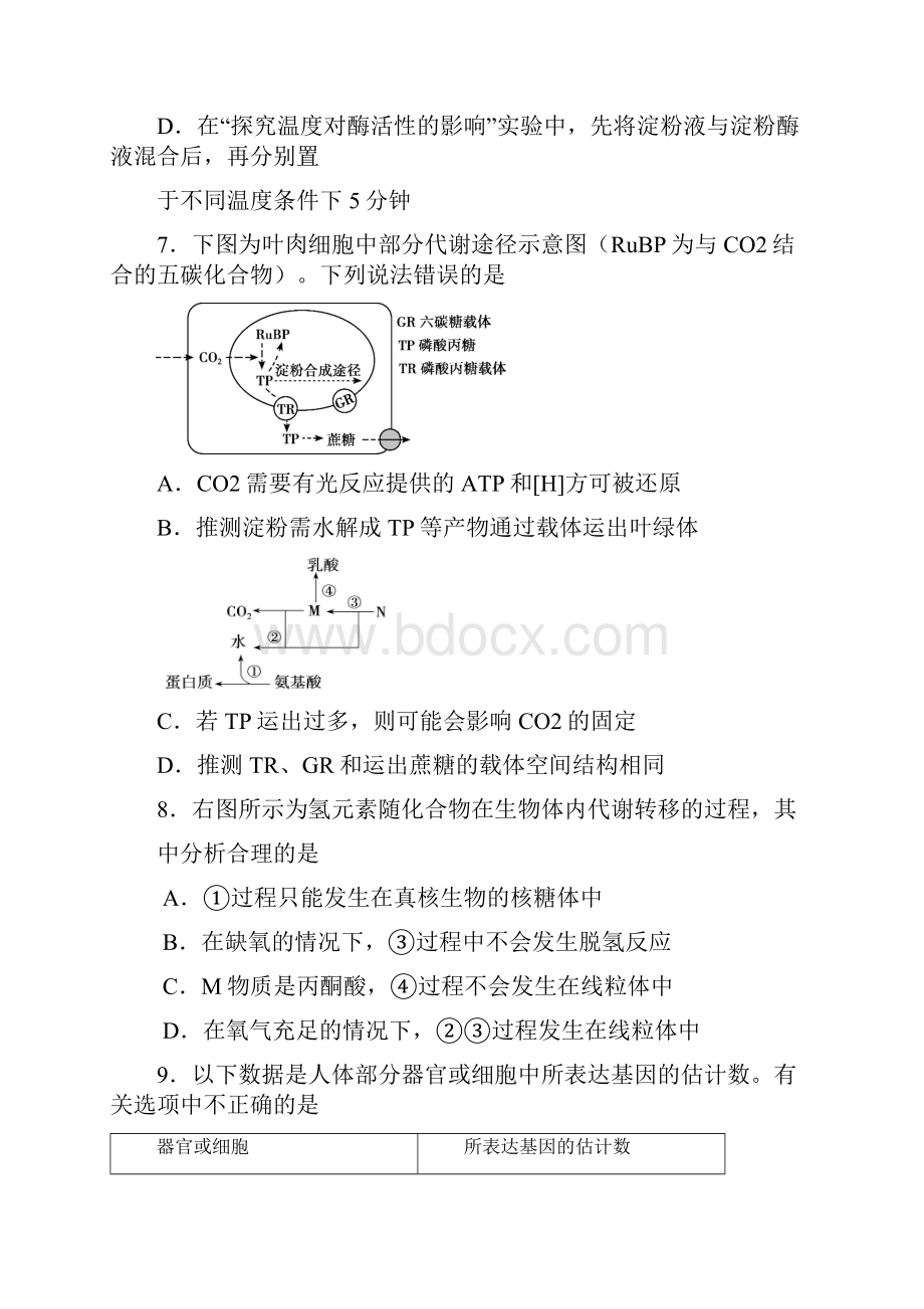 朝阳区高三生物期中试题及答案.docx_第3页