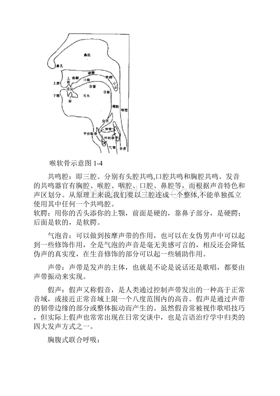 伪音基础课程教学.docx_第3页