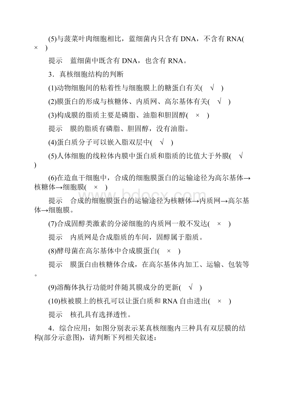 浙江选考届高三生物二轮专题复习专题一细胞的分子组成和基本结构考点2细胞的基本结构学案新人教版.docx_第2页