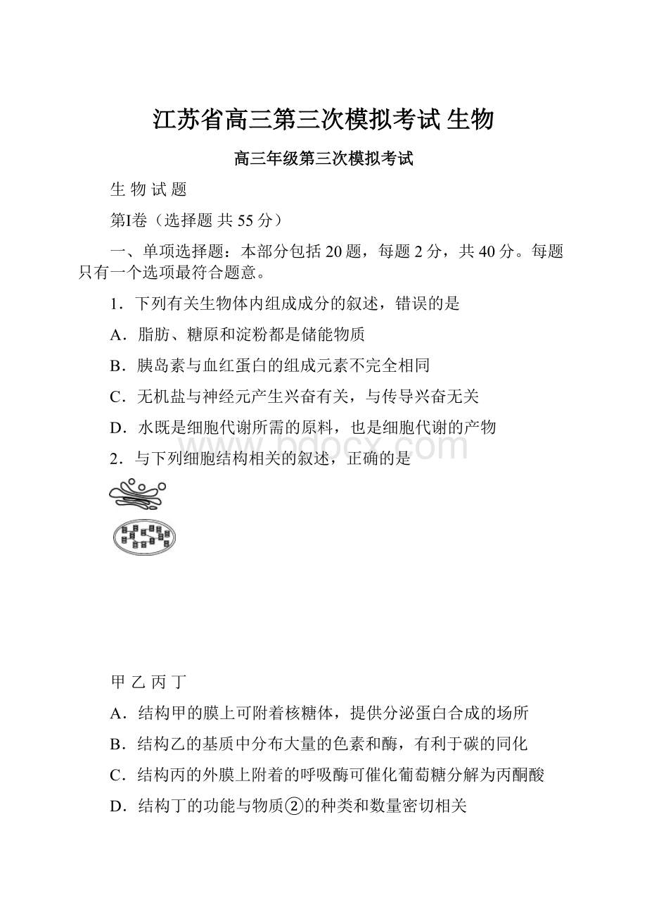 江苏省高三第三次模拟考试 生物.docx