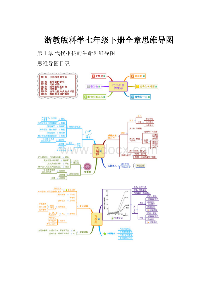 浙教版科学七年级下册全章思维导图.docx_第1页