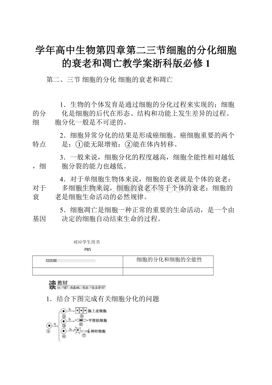 学年高中生物第四章第二三节细胞的分化细胞的衰老和凋亡教学案浙科版必修1.docx_第1页