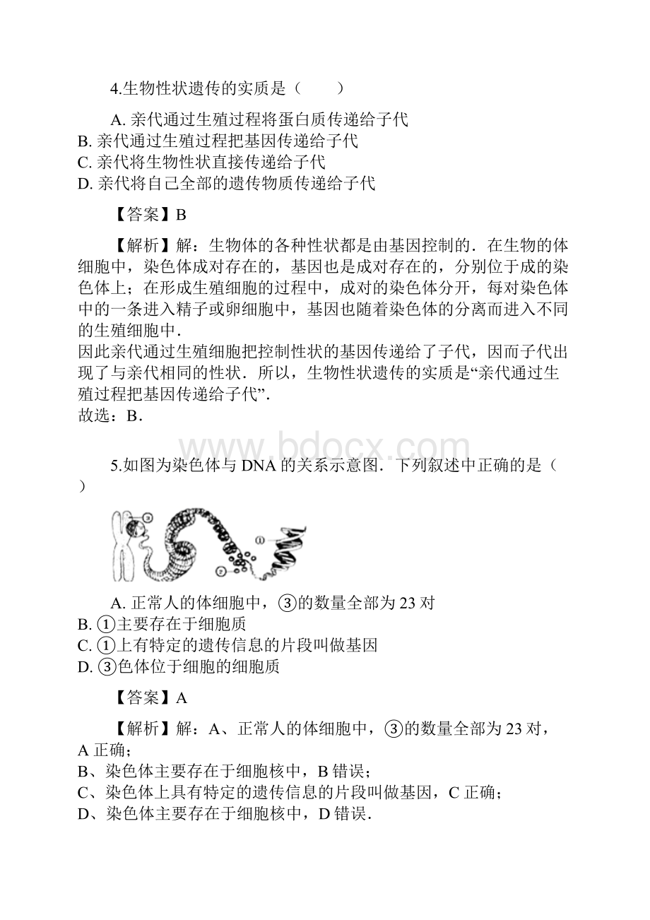 八年级下册生物722 基因在亲子间的传递教案与教学反思.docx_第3页