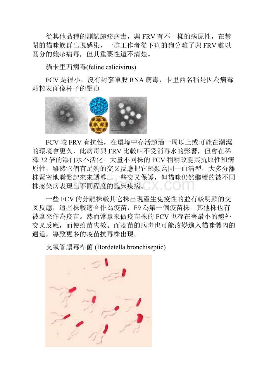 猫咪呼吸道疾病.docx_第2页