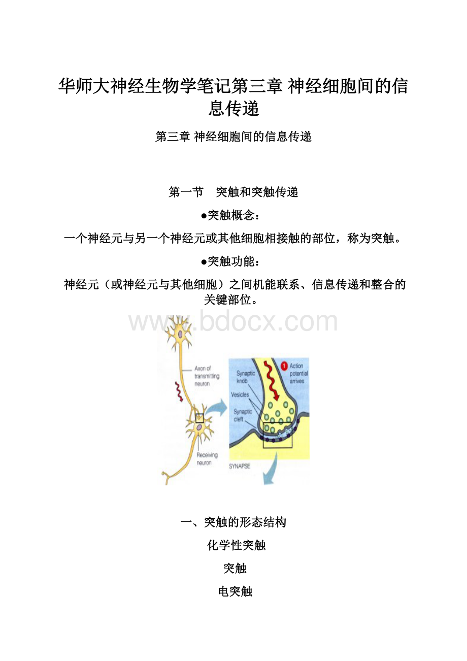 华师大神经生物学笔记第三章 神经细胞间的信息传递.docx