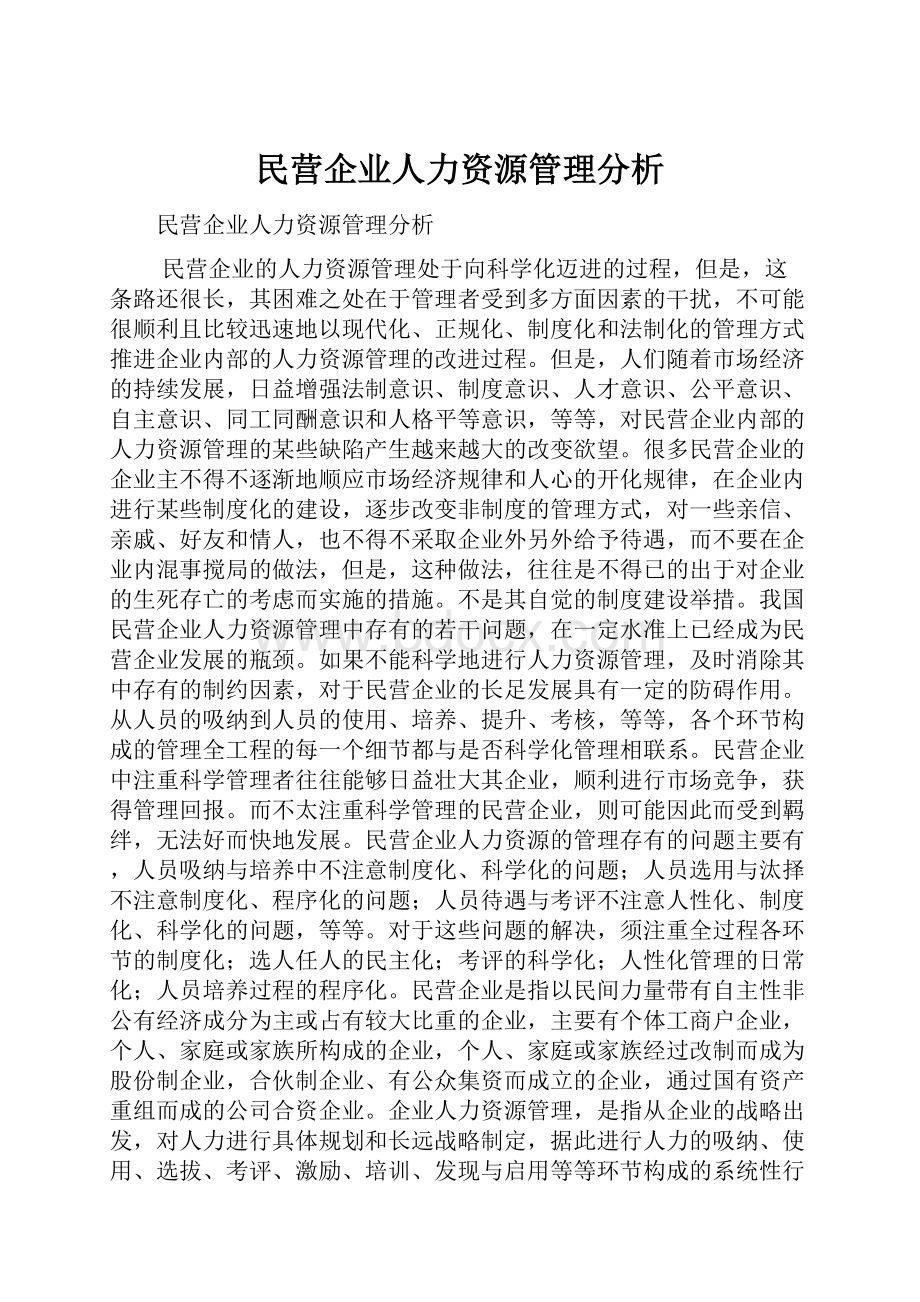 民营企业人力资源管理分析.docx