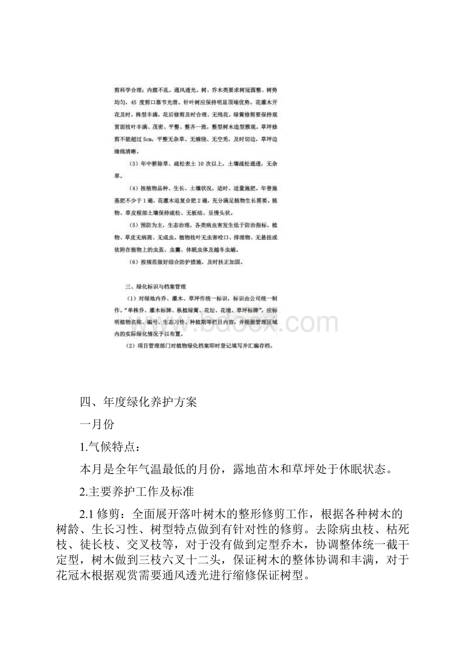 绿化养护管理方案.docx_第2页