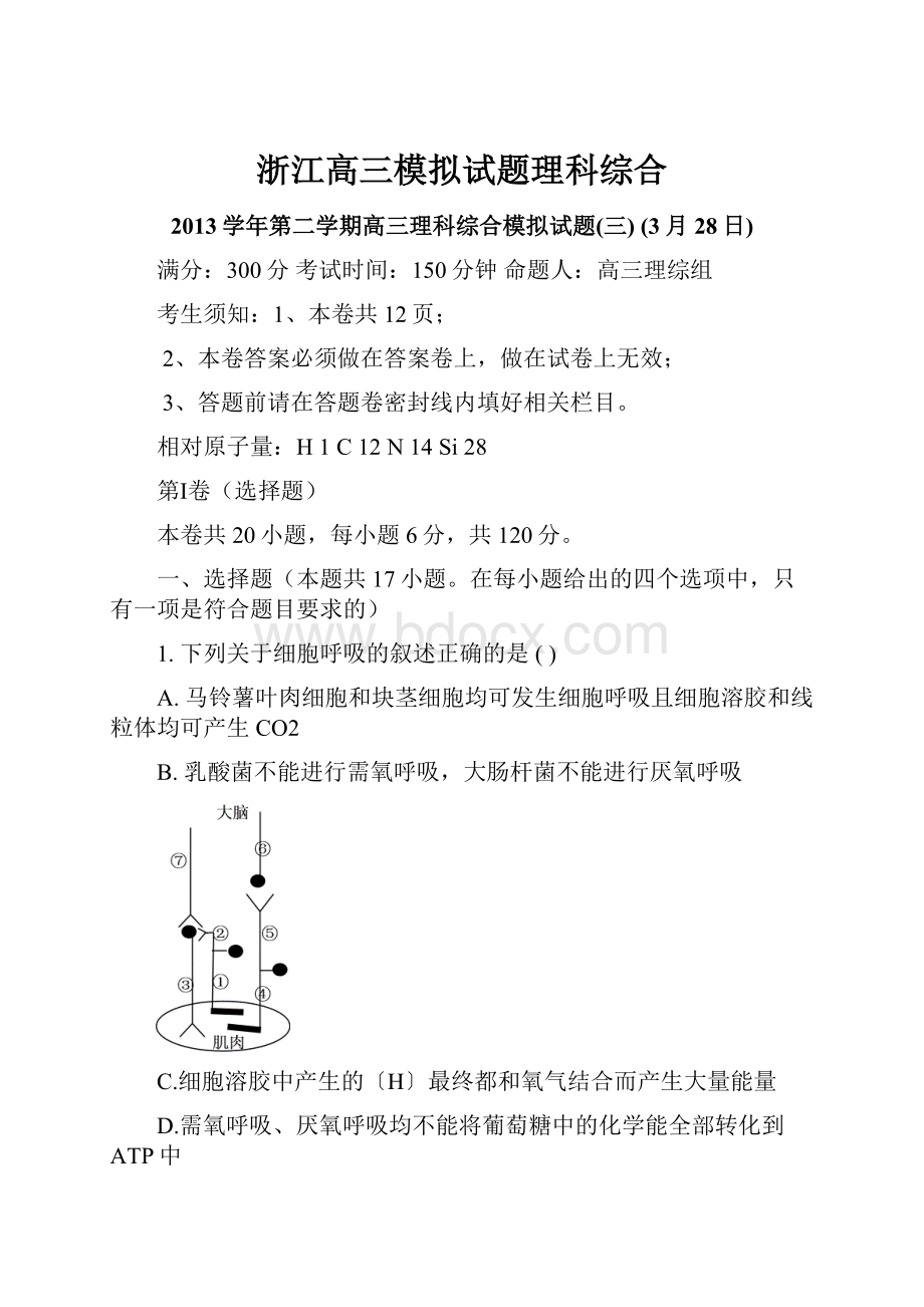 浙江高三模拟试题理科综合.docx_第1页