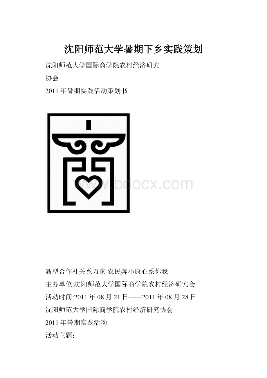 沈阳师范大学暑期下乡实践策划.docx