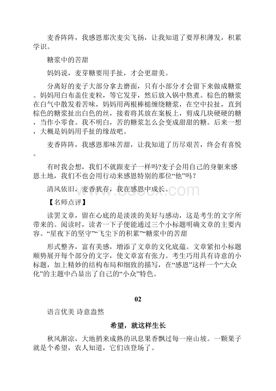 中考4篇优秀作文附有名师点评.docx_第2页