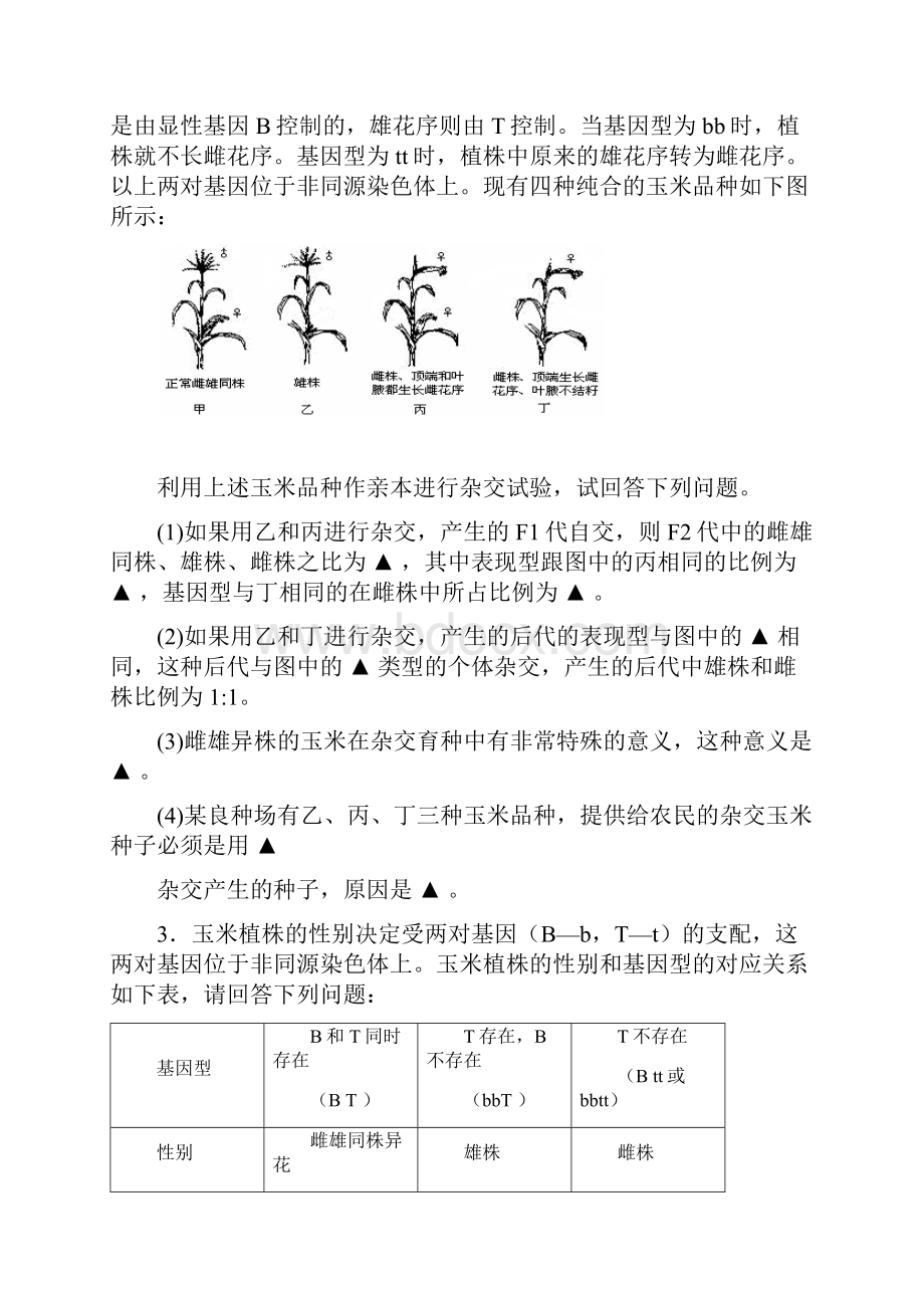 届高考生物考前核心突破 24遗传基本规律.docx_第2页