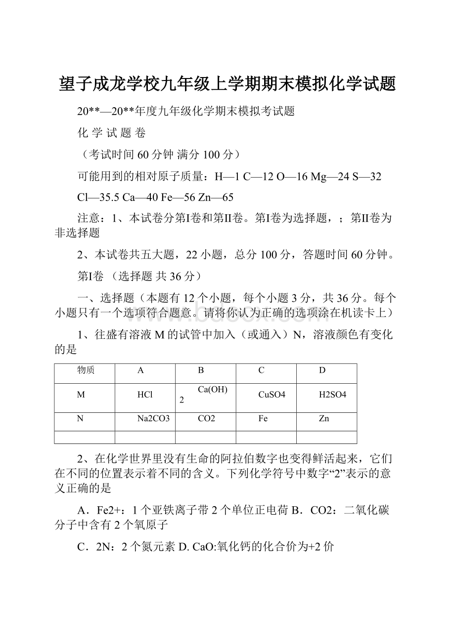 望子成龙学校九年级上学期期末模拟化学试题.docx