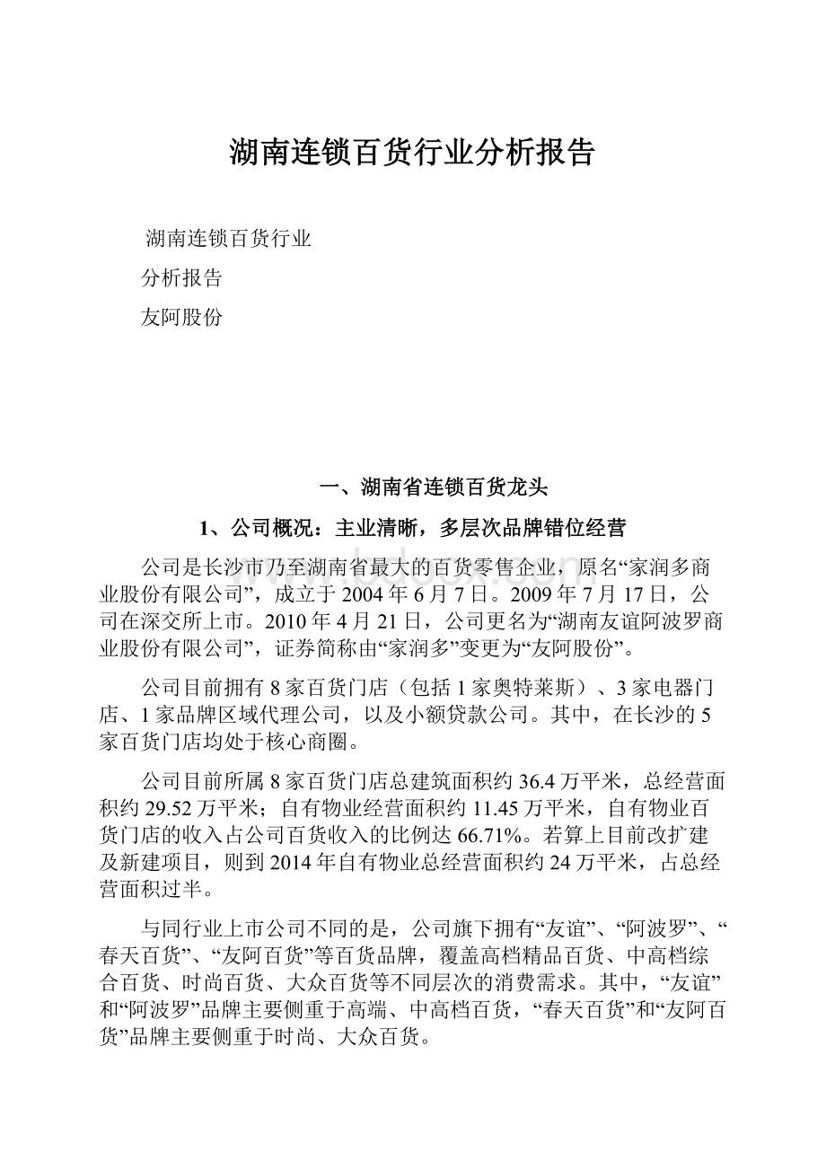 湖南连锁百货行业分析报告.docx_第1页