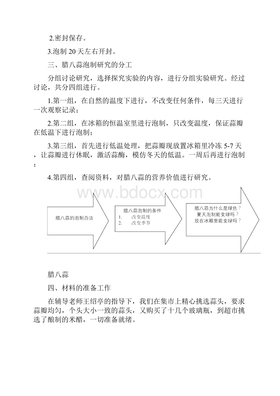 腊八蒜泡制实践活动报告王绍亭知识材料.docx_第2页