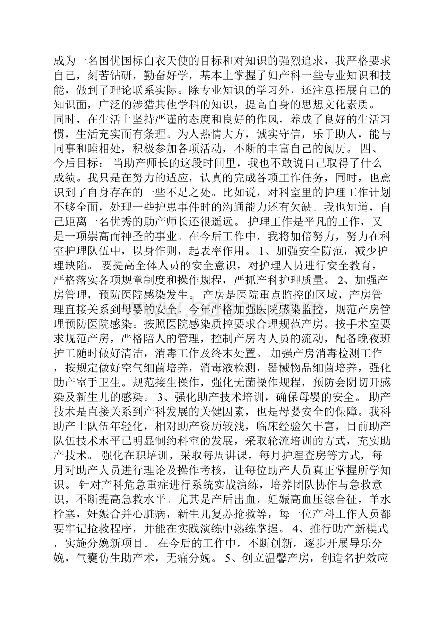 助产士年终工作总结5篇助产士工作总结范文.docx_第2页