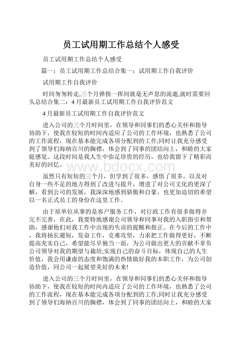 员工试用期工作总结个人感受.docx_第1页