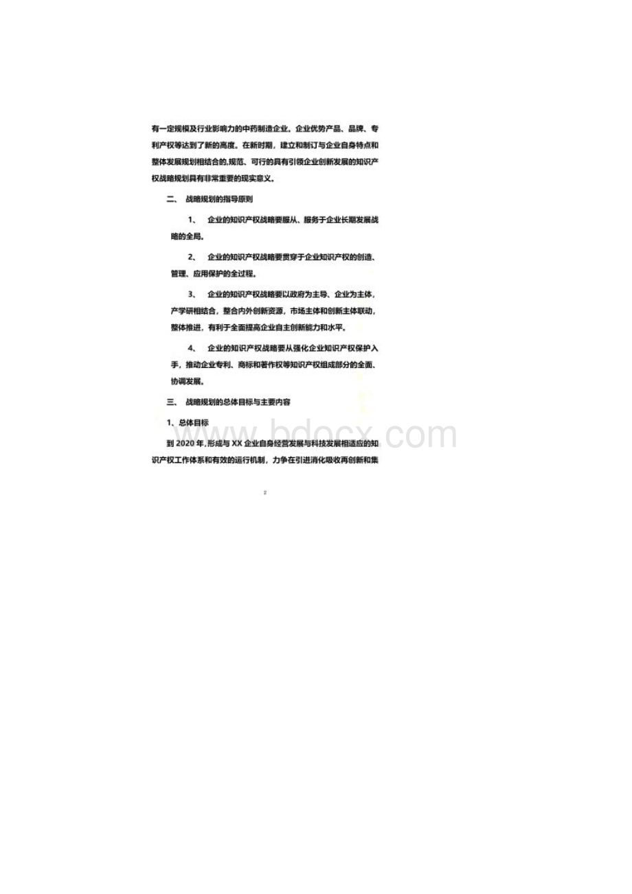 企业知识产权战略规划.docx_第2页