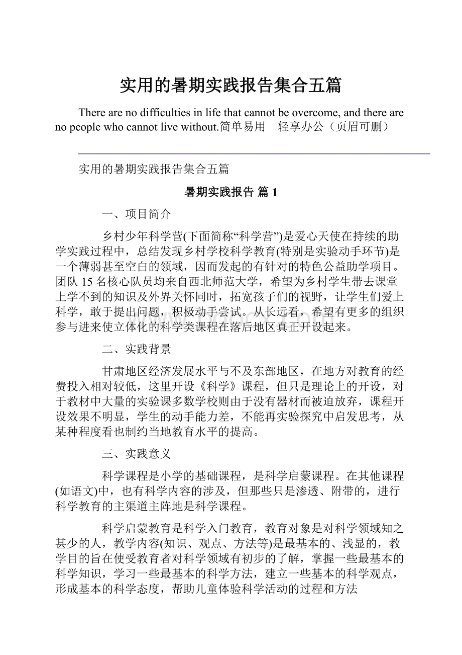 实用的暑期实践报告集合五篇.docx_第1页