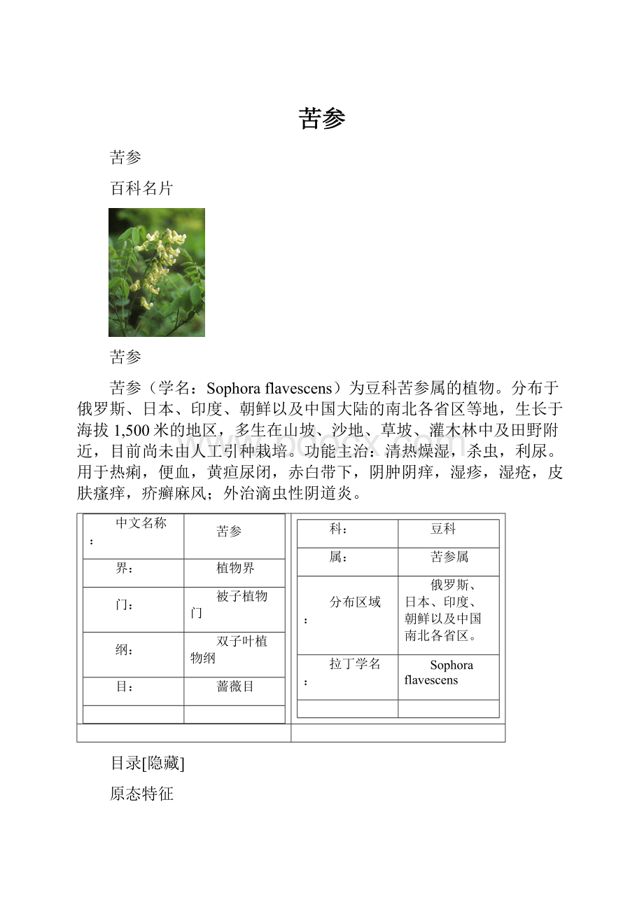 苦参.docx_第1页