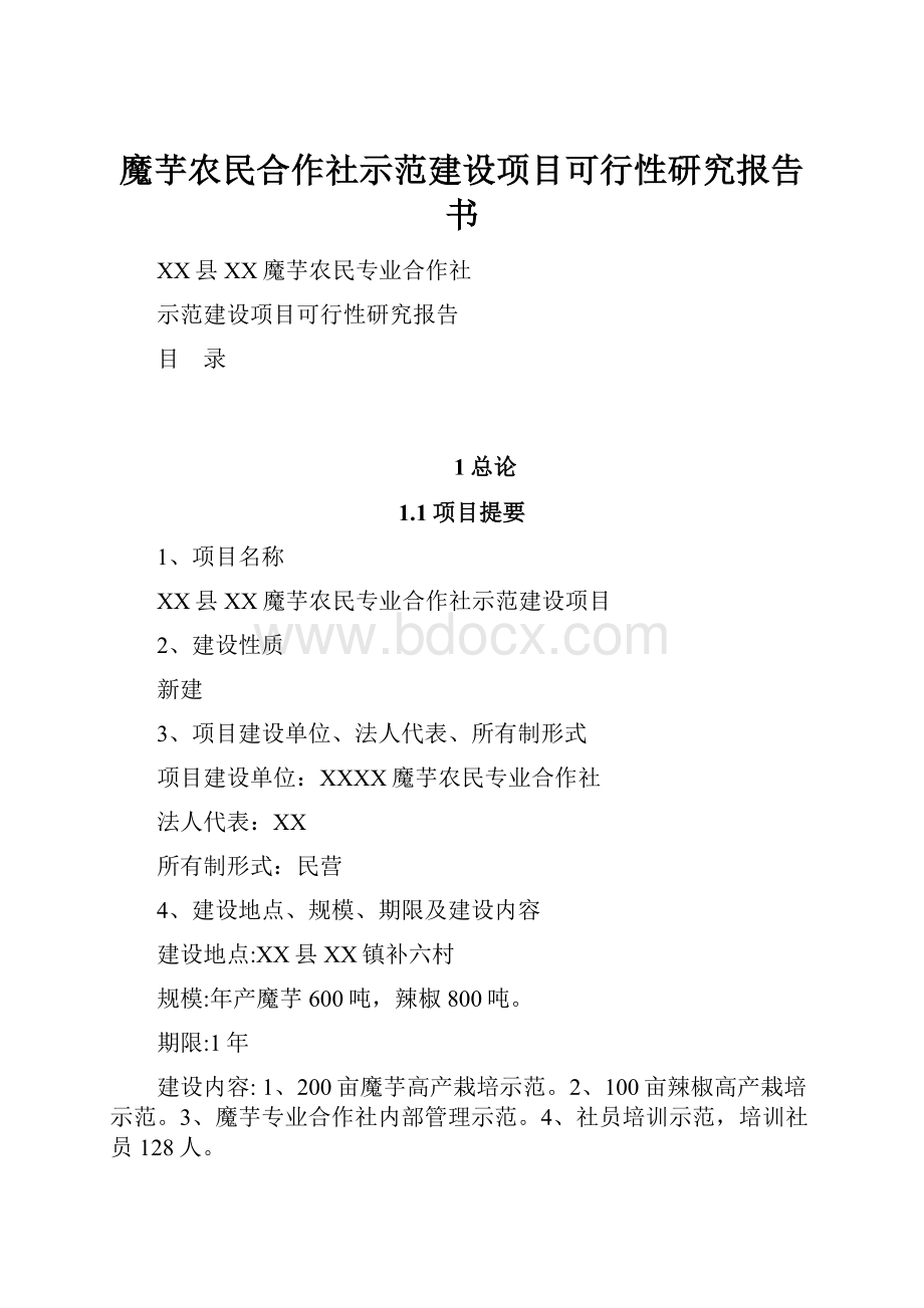 魔芋农民合作社示范建设项目可行性研究报告书.docx_第1页