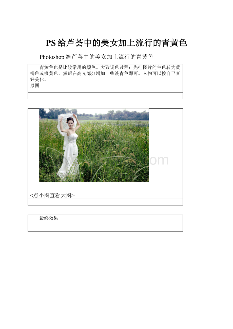 PS给芦荟中的美女加上流行的青黄色.docx_第1页