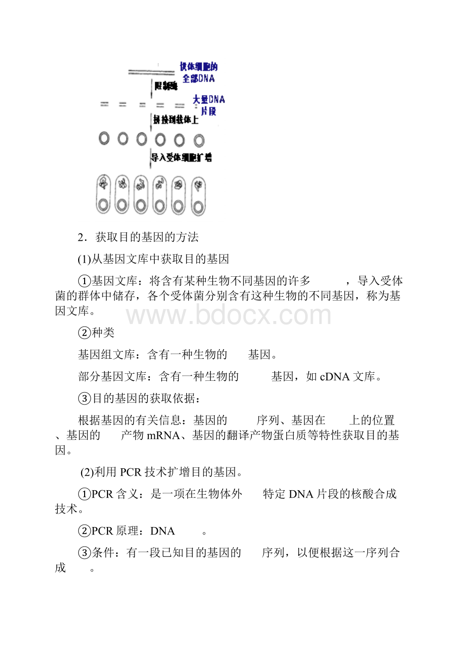 12基因工程的基本操作程序.docx_第2页