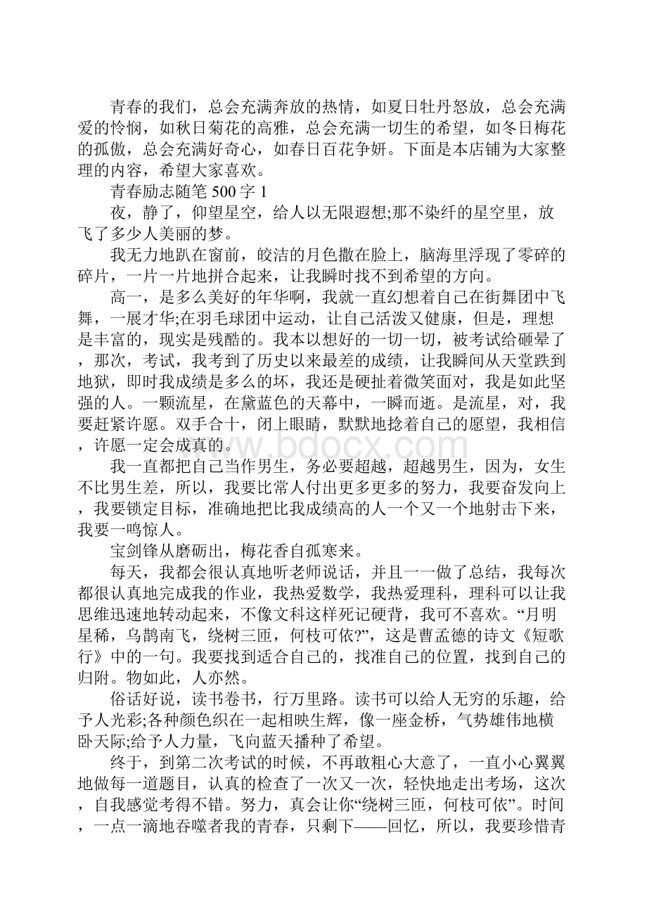 青春励志随笔500字大全.docx_第2页