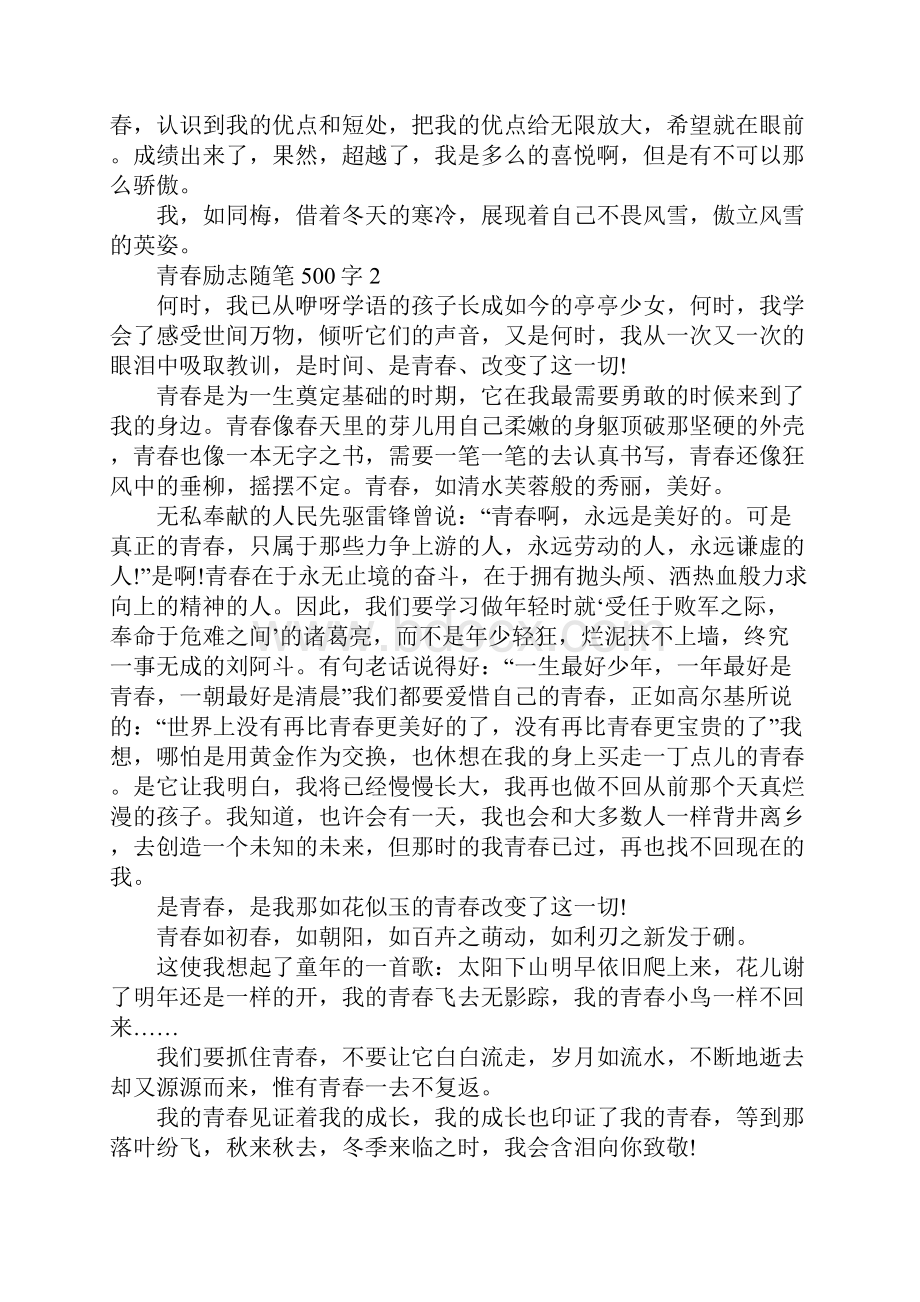 青春励志随笔500字大全.docx_第3页