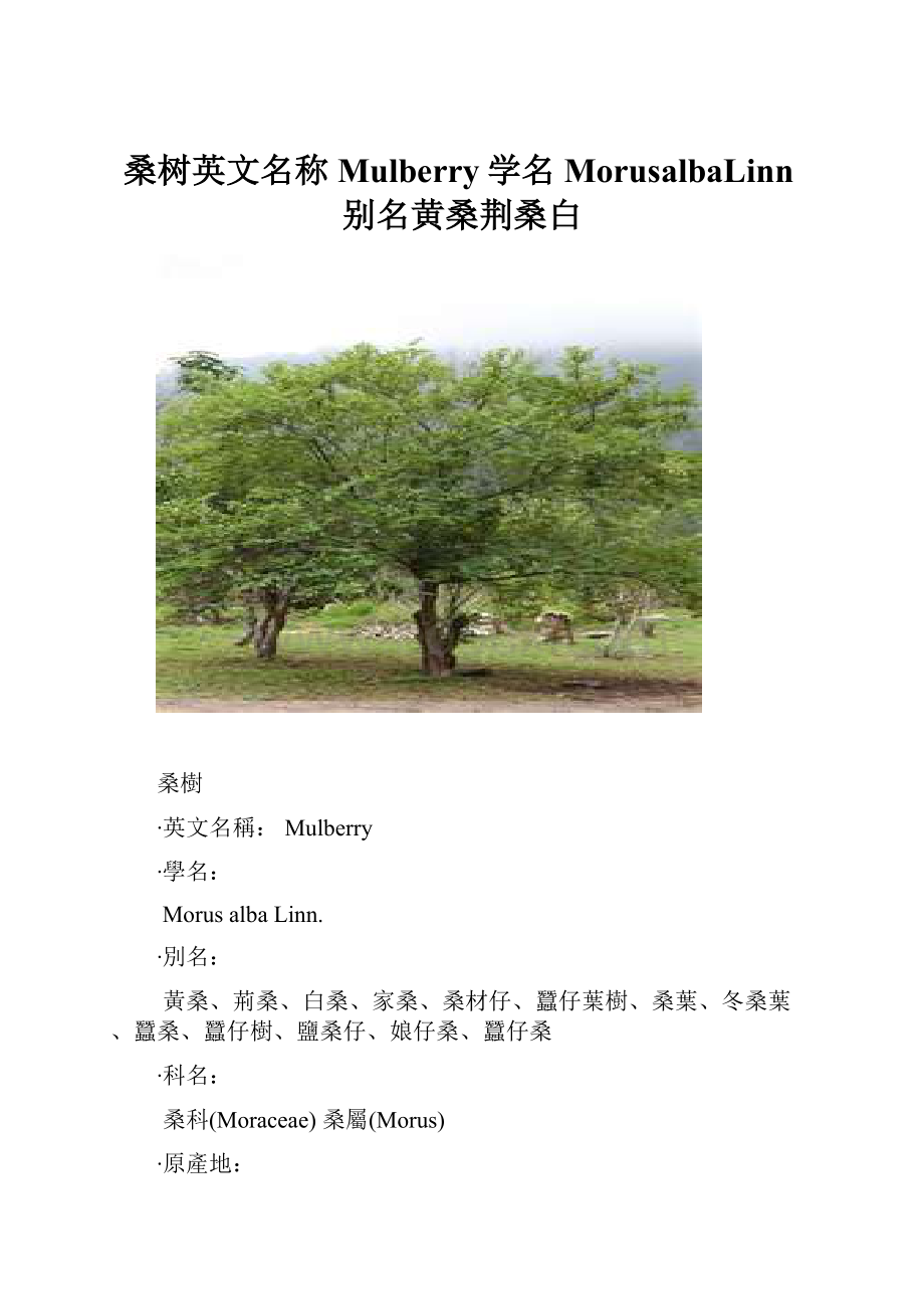 桑树英文名称Mulberry学名MorusalbaLinn别名黄桑荆桑白.docx_第1页