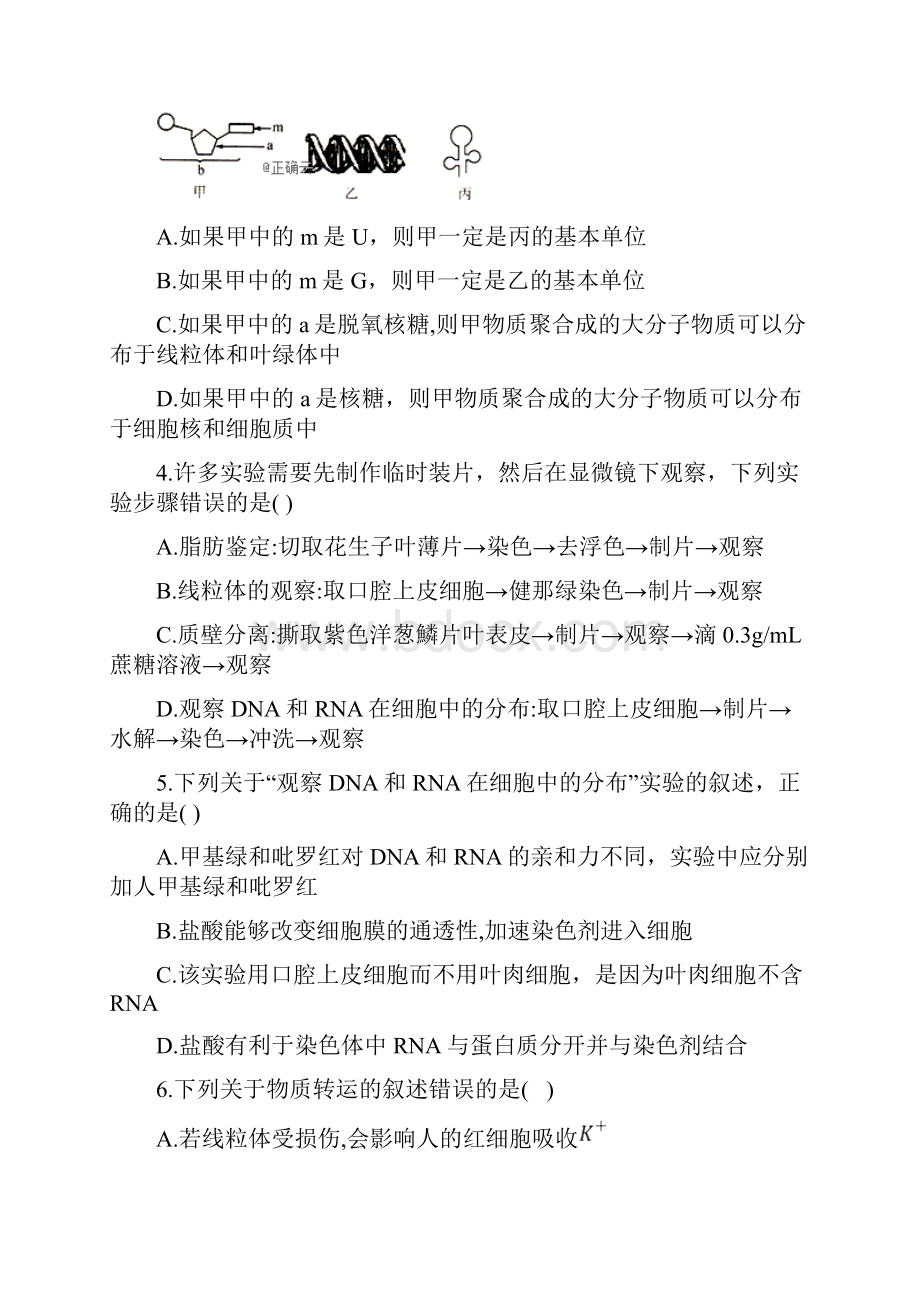 河北省邯郸市大名县第一中学学年高二生物下学期周测试题无答案.docx_第2页