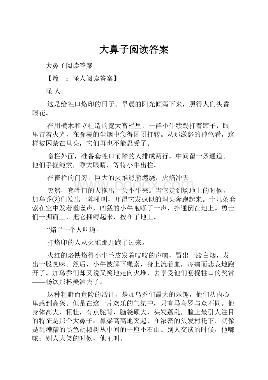 大鼻子阅读答案.docx