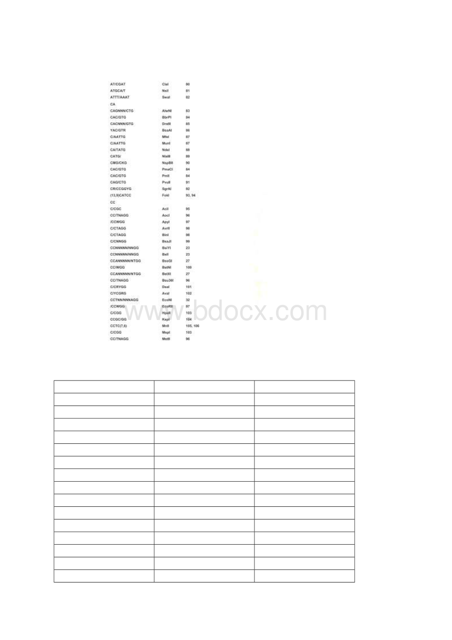 DNA内切酶名称位点序列及切点便于查找.docx_第3页