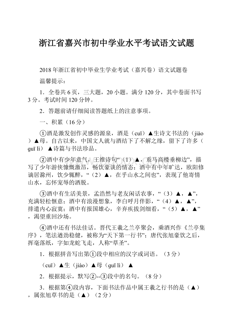 浙江省嘉兴市初中学业水平考试语文试题.docx_第1页