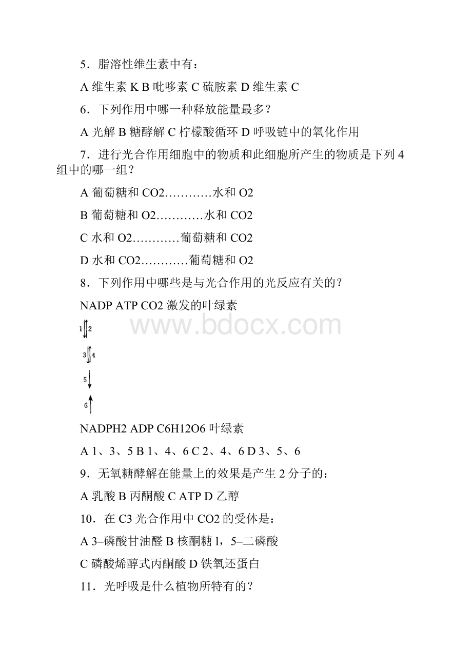 第1届国际生物奥赛试题及解析.docx_第2页