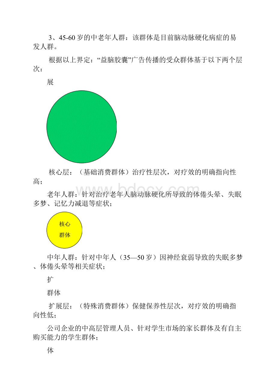 66 太极益脑胶囊媒体策划方案.docx_第2页