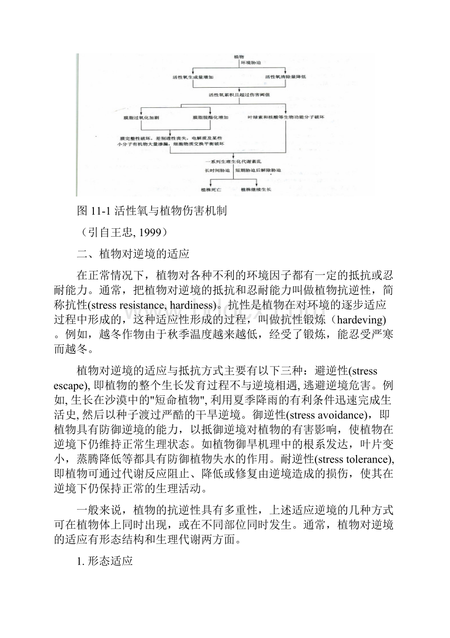 逆境生理.docx_第3页