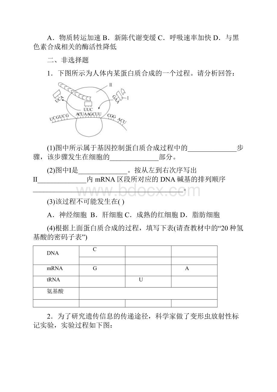 高中生物必修2第四章测试题.docx_第3页