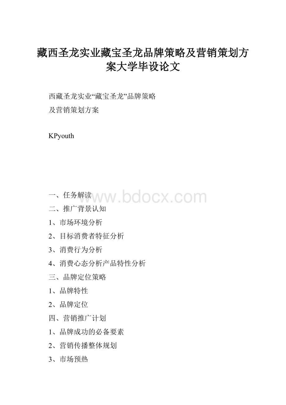 藏西圣龙实业藏宝圣龙品牌策略及营销策划方案大学毕设论文.docx